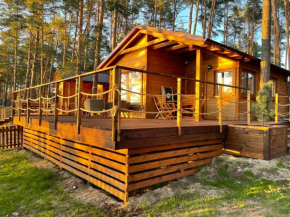 Domki Borsk - nowe, komfortowo wyposażone domki nad samym jeziorem Wdzydze w otoczeniu sosnowego lasu, Borsk